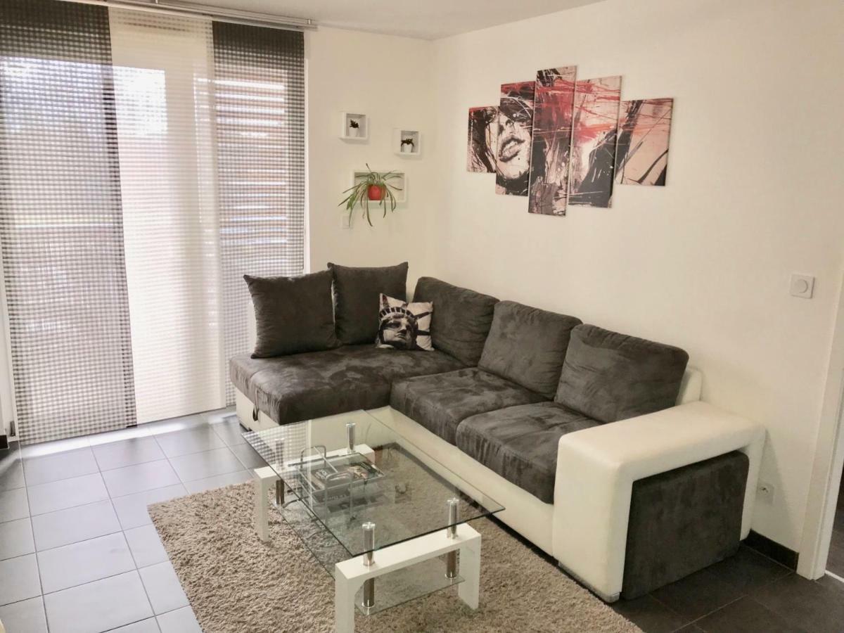 Le T2 Appartement Moderne Avec Terrasse Et Parking สตราสบูร์ก ภายนอก รูปภาพ